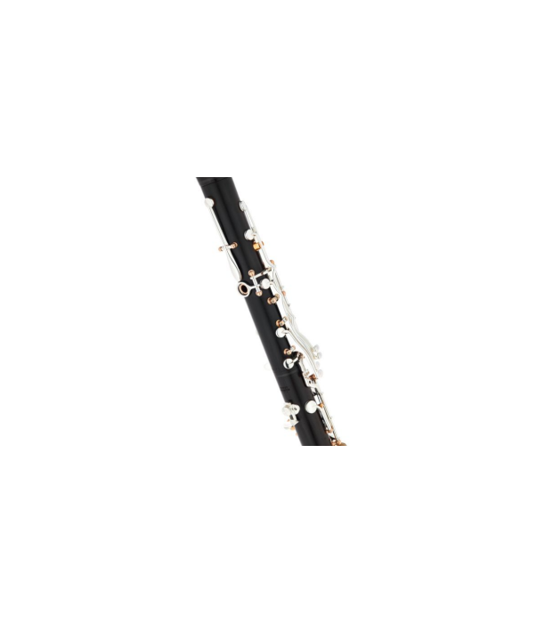 Buffet Crampon BCXXI Bb-Clarinet 19/6 [8]