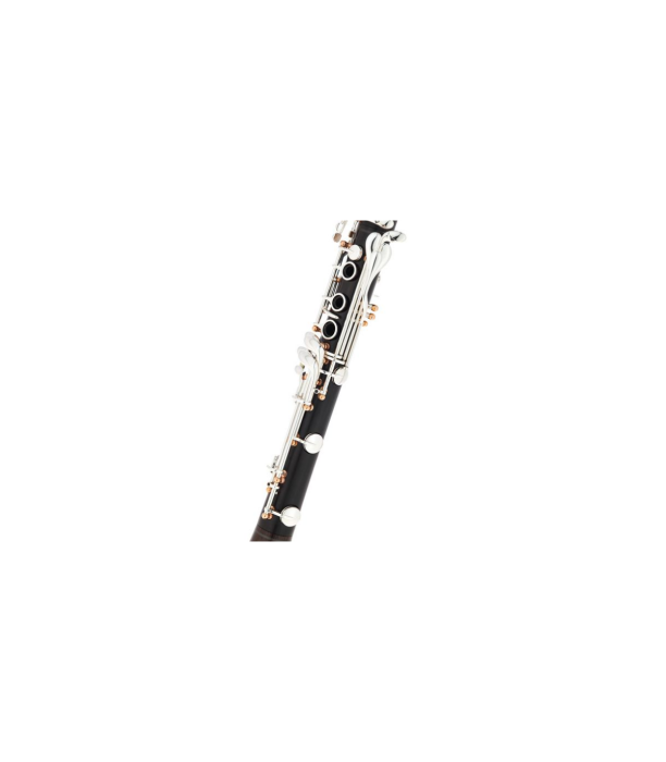 Buffet Crampon BCXXI Bb-Clarinet 19/6 [7]