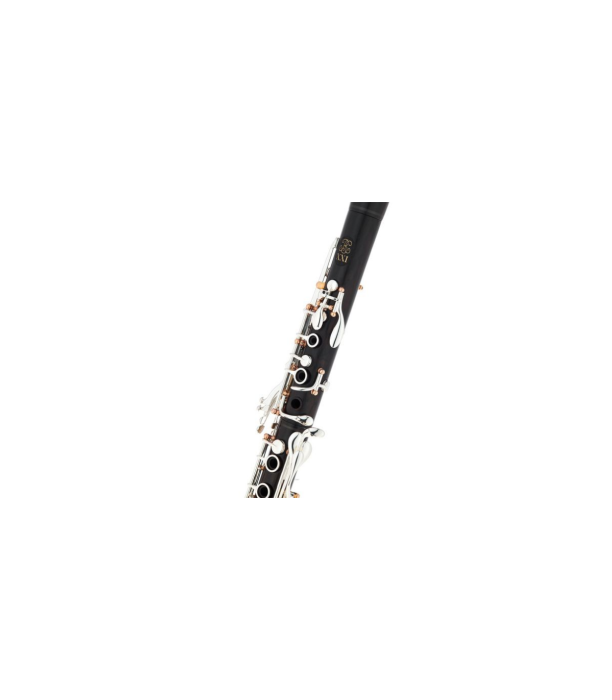 Buffet Crampon BCXXI Bb-Clarinet 19/6 [6]