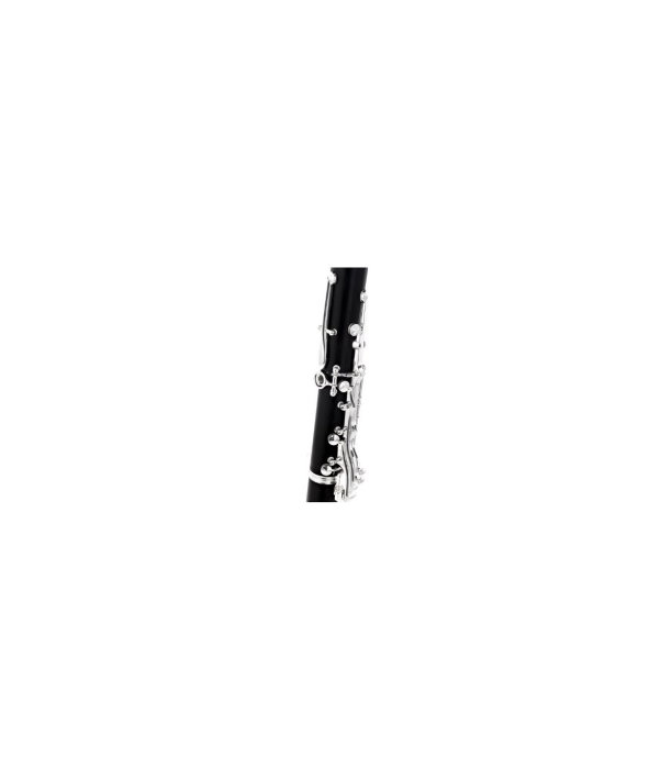 Buffet Crampon E-13 18/6 GigBag [8]