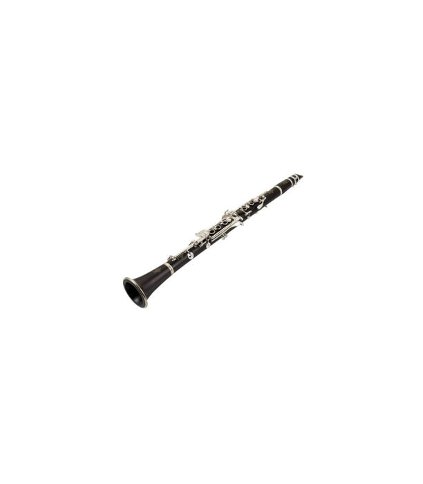 Buffet Crampon E-13 Bb-Clarinet 17/6 GigBag [3]