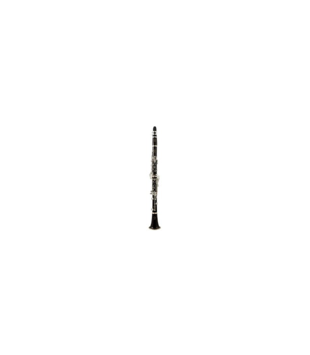 Buffet Crampon E-13 Bb-Clarinet 17/6 GigBag [2]