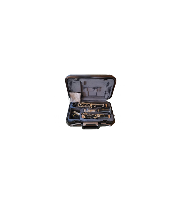 Buffet Crampon E11 - 17/6 NI + Case [11]
