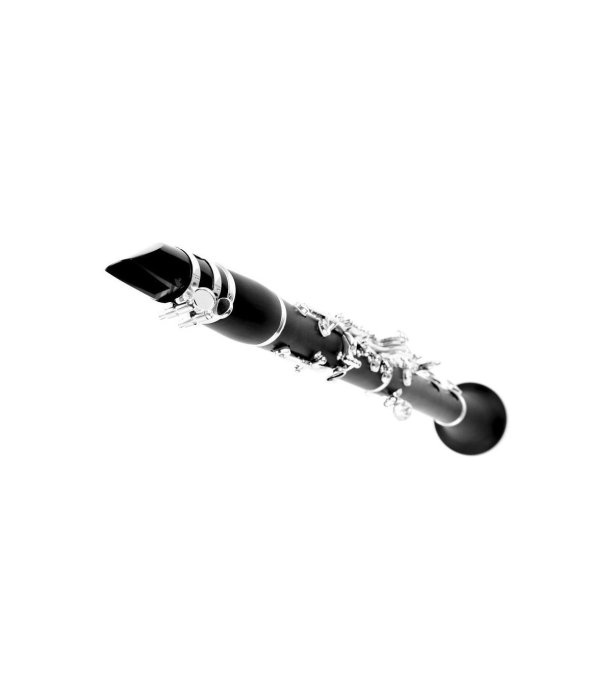 Buffet Crampon E12F Bb-Clarinet 17/6 [2]