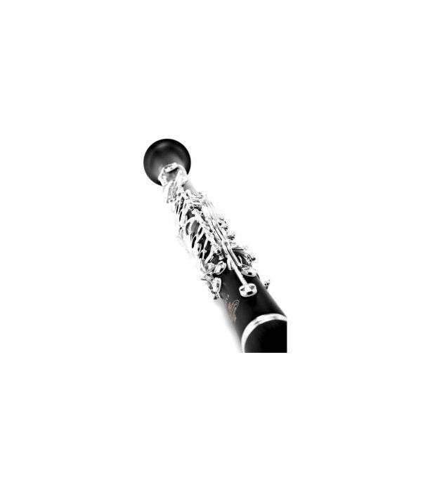 Buffet Crampon E12F Bb-Clarinet 17/6 [4]
