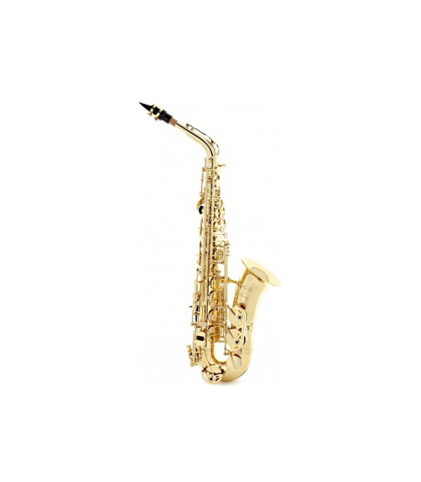 Buffet Crampon Prodige BC8301-1-0GB [2]