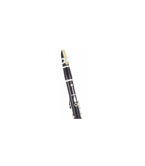 Buffet Crampon R13 Bb-Clarinet 18/6 [8]