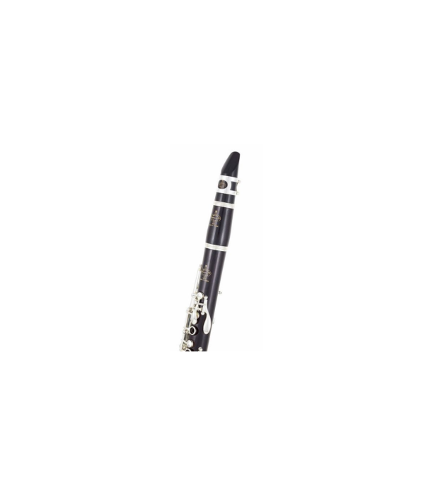 Buffet Crampon R13 Bb-Clarinet 18/6 [5]