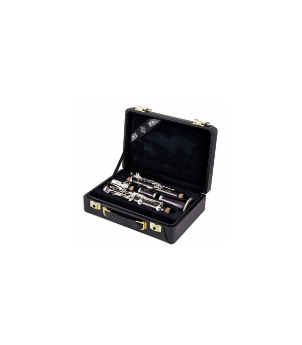 Buffet Crampon R13 Bb-Clarinet 18/6 [9]