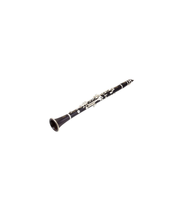 Buffet Crampon R13 Bb-Clarinet 18/6 [3]