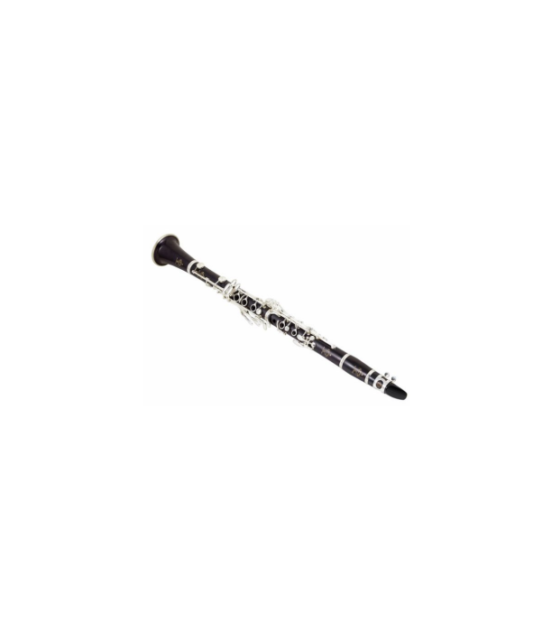 Buffet Crampon R13 Bb-Clarinet 18/6 [4]