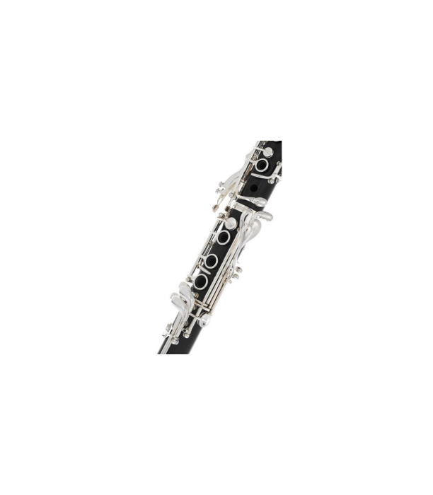 Buffet Crampon RC Bb-Clarinet 18/6 [5]