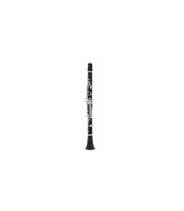 Buffet Crampon RC Bb-Clarinet 18/6 [2]