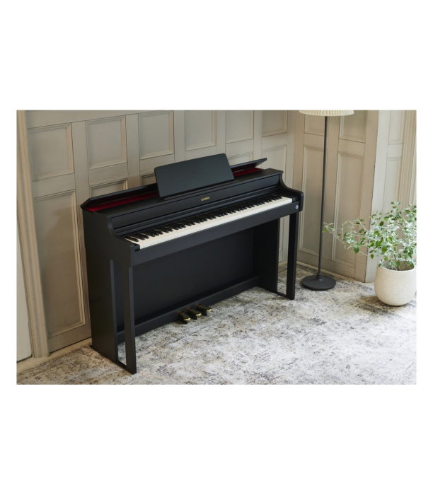 Casio AP-300 BK Celviano [9]