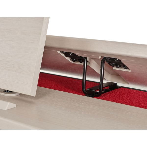 Casio AP-300 GB [12]