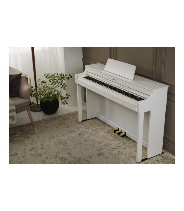 Casio AP-300 WE Celviano [11]