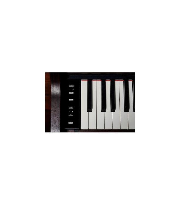 Casio AP-550 BN Celviano [4]