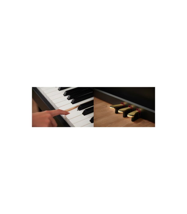 Casio AP-550 WE Celviano [3]