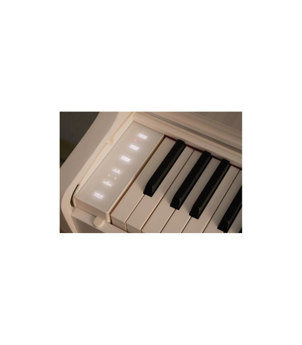 Casio AP-550 WE Celviano [4]