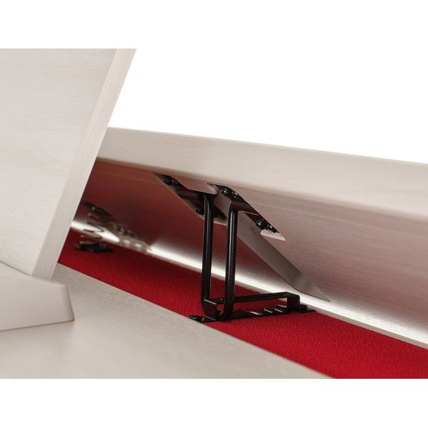 Casio AP-750 GB [10]