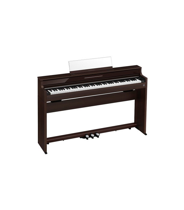 Casio AP-S450 BN Celviano [3]