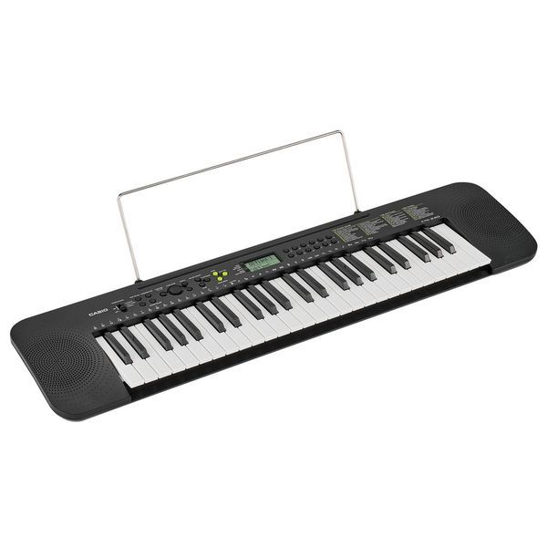 Casio CTK-240 [3]