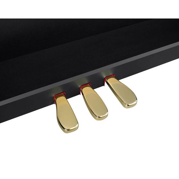 Casio GP-310 BK Celviano [7]