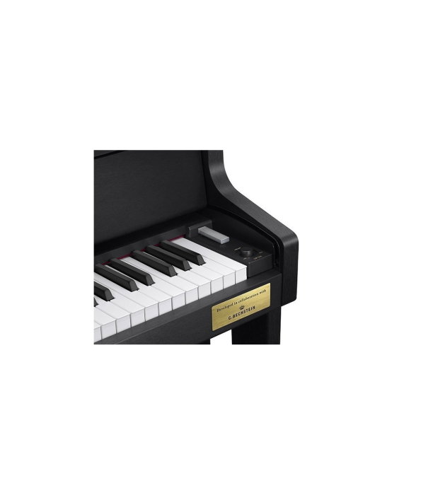 Casio GP-310 BK Celviano [2]