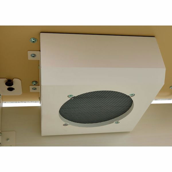 Casio GP-310 WE Celviano [19]