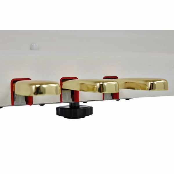 Casio GP-310 WE Celviano [18]