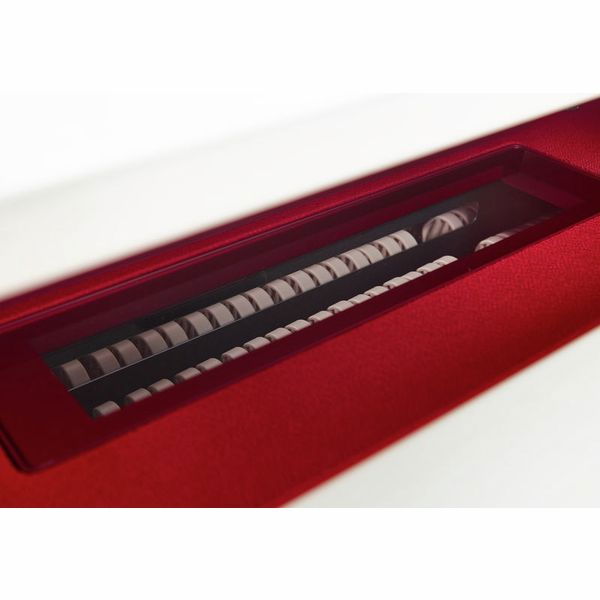 Casio GP-310 WE Celviano [13]