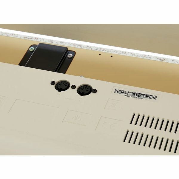 Casio GP-310 WE Celviano [24]