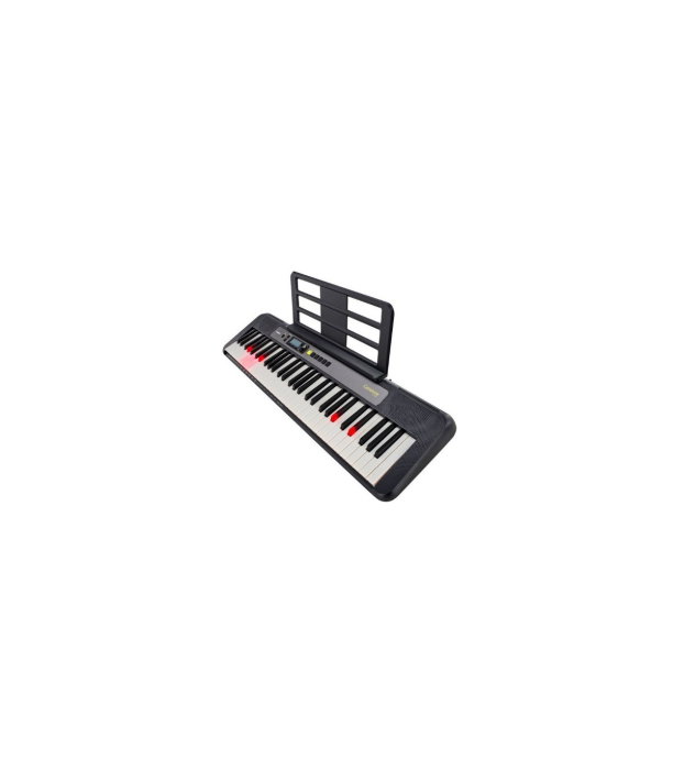 Casio LK-S250 [9]