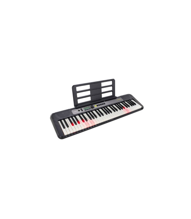 Casio LK-S250 [10]