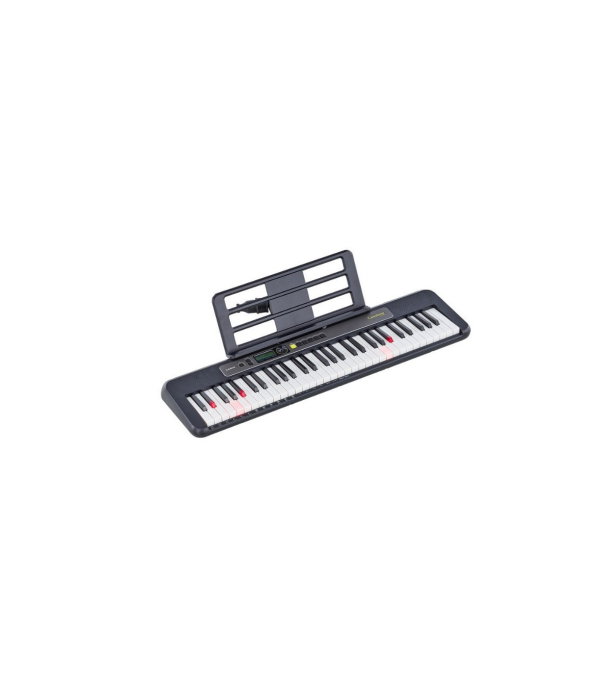 Casio LK-S250 [5]