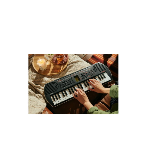 Casio SA-81 Mini Portable Keyboard [7]