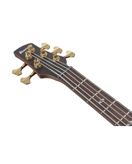 Chitară bass 5 corzi cu case Ibanez SR6605-GFB - Ibanez [8]