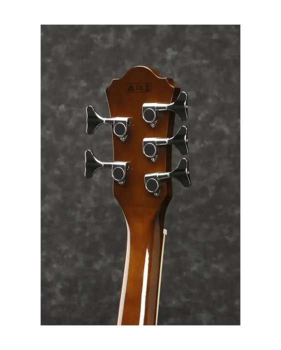 Chitară bass electro-acustică Ibanez AEB105E-NT - Ibanez [4]
