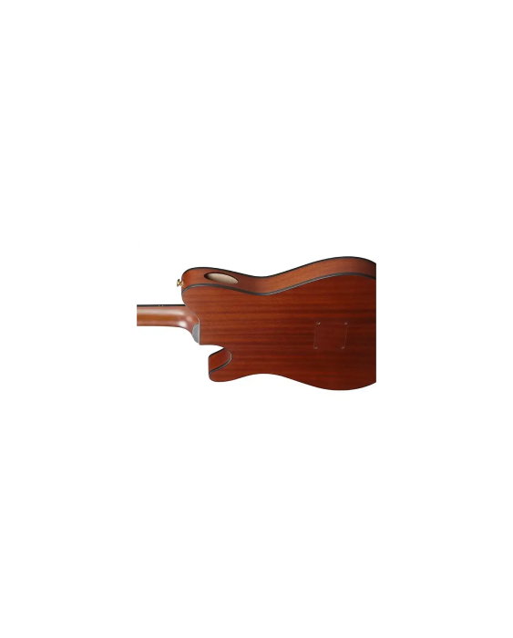 Chitară clasică electro-acustică Ibanez FRH10N-BSF - Ibanez [2]