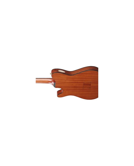 Chitară clasică electro-acustică Ibanez FRH10N-IBF - Ibanez [5]