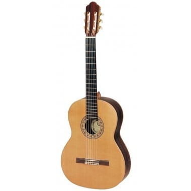 Chitara clasica SM 20 Regun Concert Hora Reghin [1]