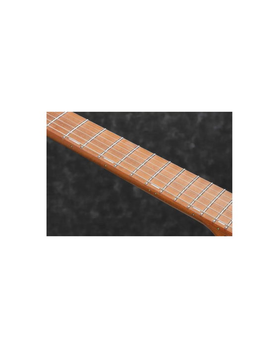 Chitară electrică Ibanez EH10-TGM Premium Erick Hansel - Ibanez [5]