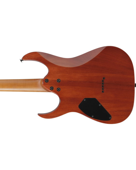 Chitară electrică Ibanez GRGR221FA-TDK - Ibanez [5]