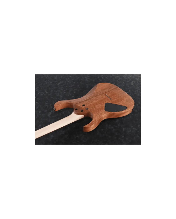 Chitară electrică Ibanez RG421-MOL - Ibanez [3]