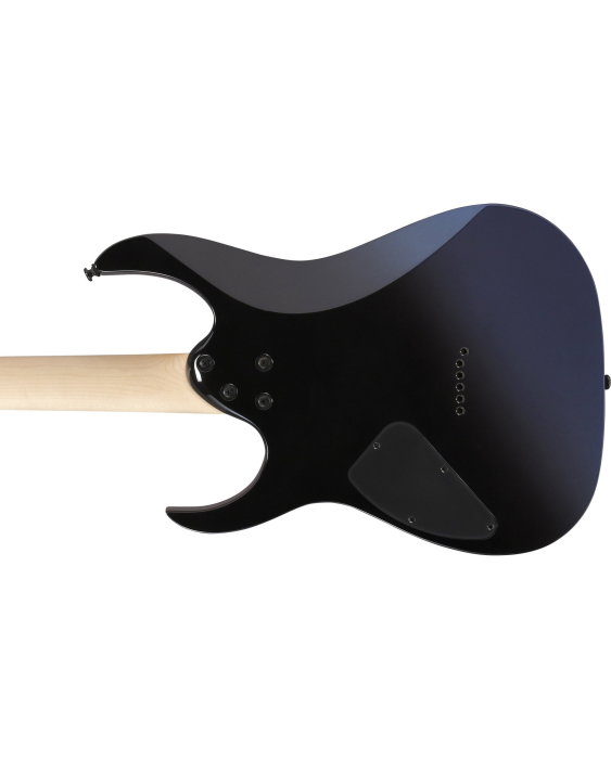 Chitară electrică Ibanez RG421DX-TWS - Ibanez [5]