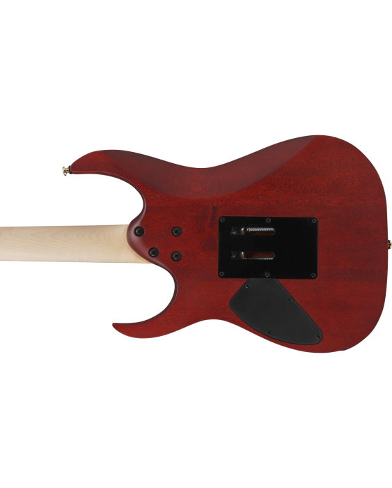 Chitară electrică Ibanez RGR420FMSP-TGF - Ibanez [5]