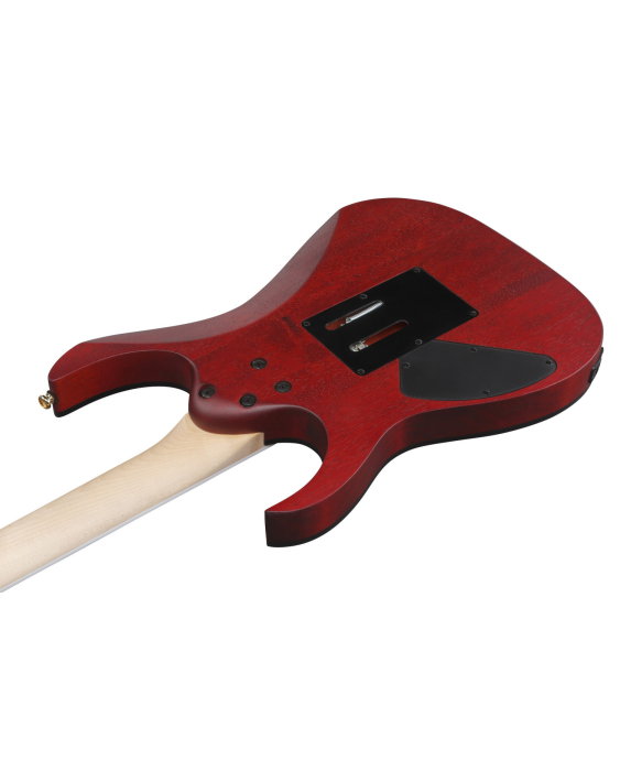 Chitară electrică Ibanez RGR420FMSP-TGF - Ibanez [7]