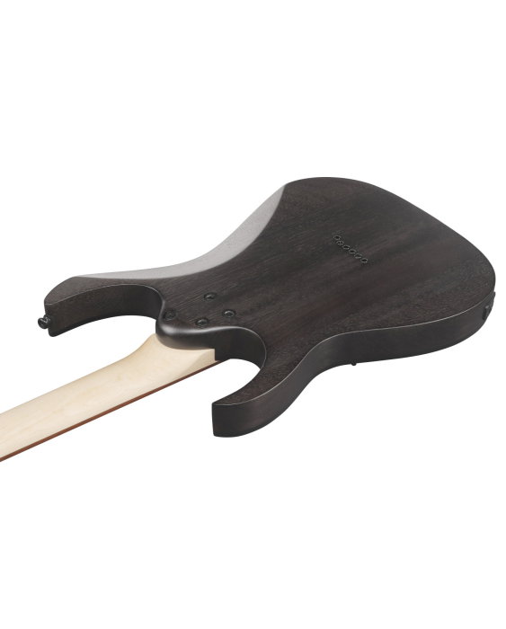 Chitară electrică Ibanez RGR431PB-CGF - Ibanez [7]