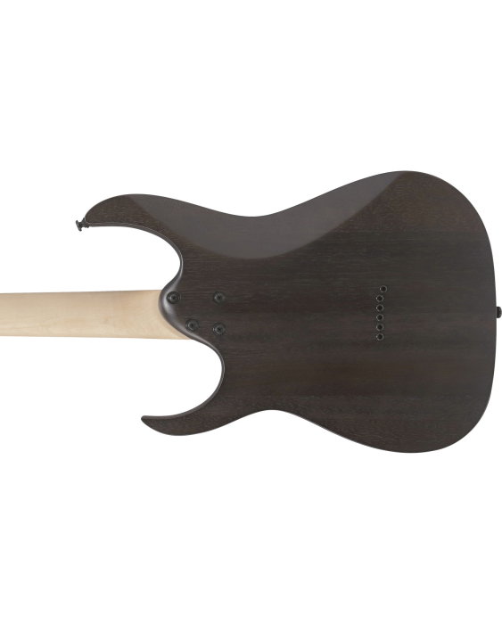 Chitară electrică Ibanez RGR431PB-CGF - Ibanez [5]