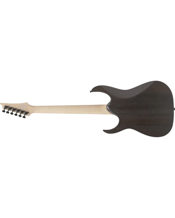 Chitară electrică Ibanez RGR431PB-CGF - Ibanez [2]
